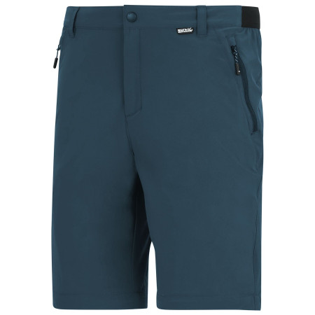 Pánské kalhoty Regatta Anti-Insect Travel Light Z/O Trousers