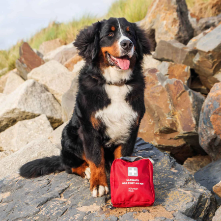 Lékárnička pro psy Mountain Paws Ultimate Dog First Aid Kit