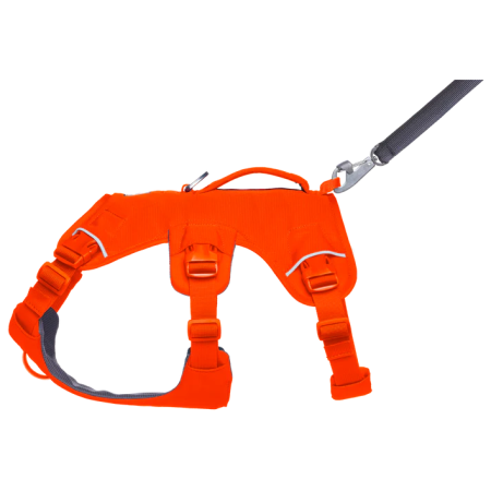 Postroj pro psa Ruffwear Web Master™ Harness