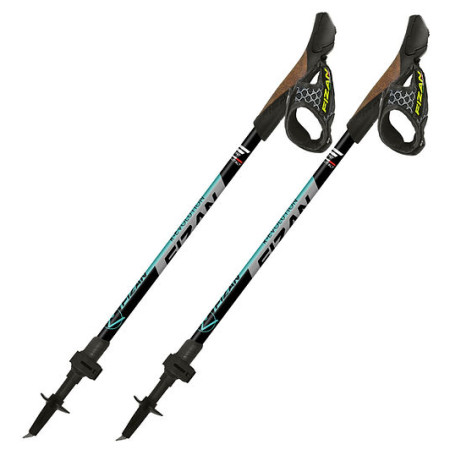 Nordic walking hole Fizan R-Evolution