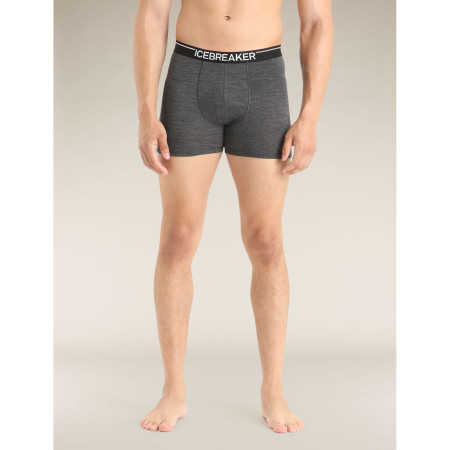 Pánské boxerky Icebreaker Mens Anatomica Boxers