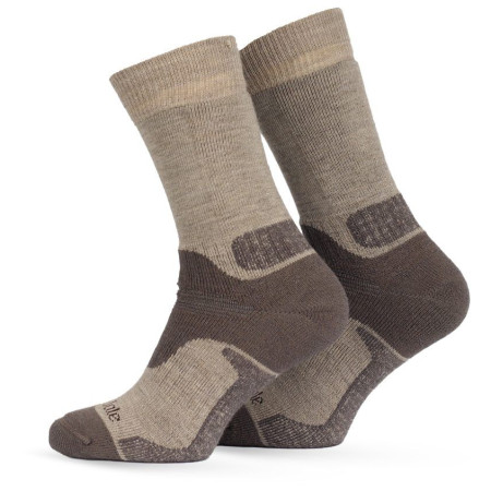 Ponožky Bridgedale Field Range MW MP Boot