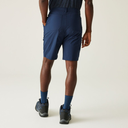 Pánské kraťasy Regatta Dalry Short