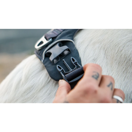 Postroj pro psa Ruffwear Front Range® Harness