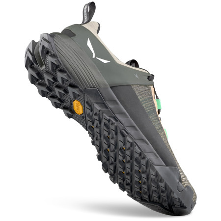 Pánské boty Salewa Wildfire Nxt M