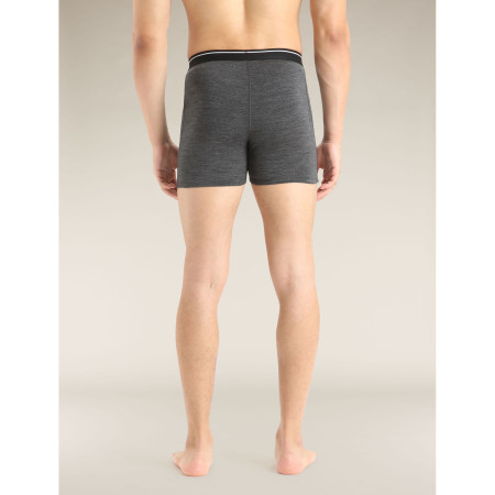 Pánské boxerky Icebreaker Mens Anatomica Boxers