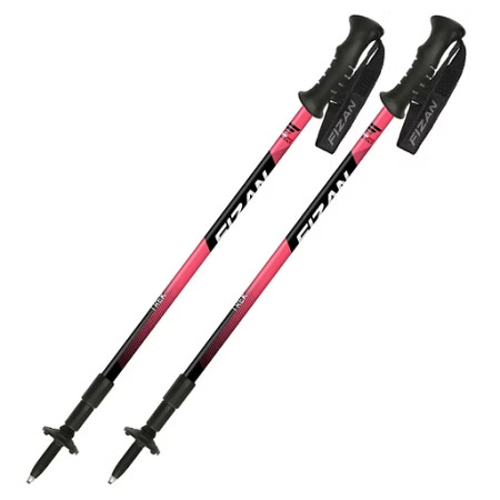 Trekové hole Fizan Trek