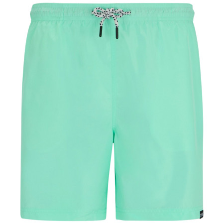 Pánské kraťasy Regatta Mackleyna Swim Short