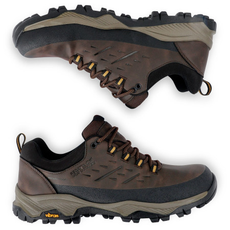 Pánské boty Regatta Blake Low