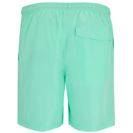 Pánské kraťasy Regatta Mackleyna Swim Short