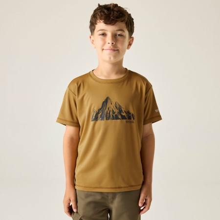 Dětské triko Regatta Alvarado Wood Brown