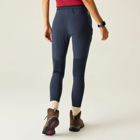 Dámské legíny Dare 2b Torrek Legging