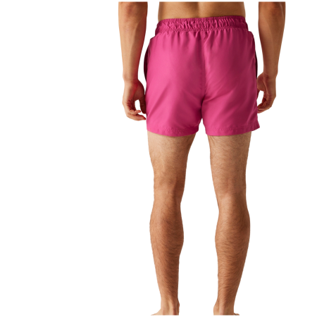 Pánské plavky Regatta Mawson III Swim Shorts