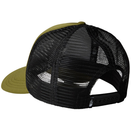 Kšiltovka The North Face TNF Logo Trucker