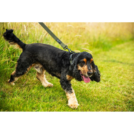 Vodítko na psa Mountain Paws Extra Tough Dog Lead