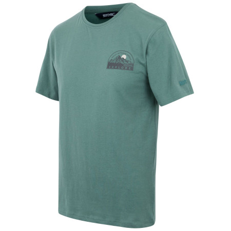 Pánské tričko Regatta Cline IX