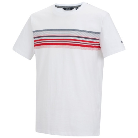 Pánské triko Regatta Rendro