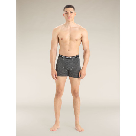 Pánské boxerky Icebreaker Mens Anatomica Boxers