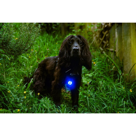 Světlo pro psa Mountain Paws Dog safety light 2-Pack