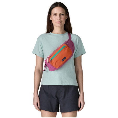 Ledvinka Patagonia Terravia Hip Pack