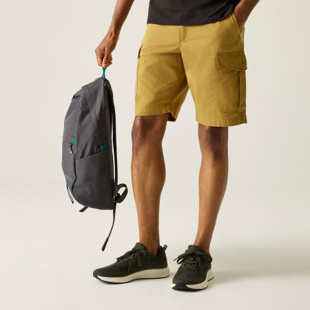 Pánské kraťasy Regatta Ruwan Shorts