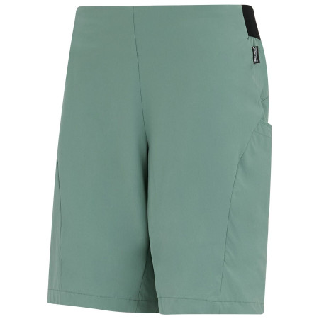 Dámské kraťasy Regatta Women’s Pentre Lite Shorts