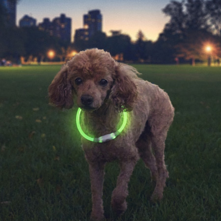 Svítící obojek pro psa Nite Ize NiteHowl® Rechargeable LED Safety Necklace