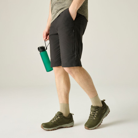 Pánské boty Regatta Amble Low WP