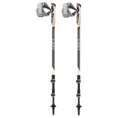 Nordic walking hole Leki Poles Traveller Carbon