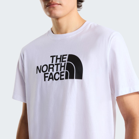 Pánské triko The North Face Evolution Half Dome Regular Short Slee
