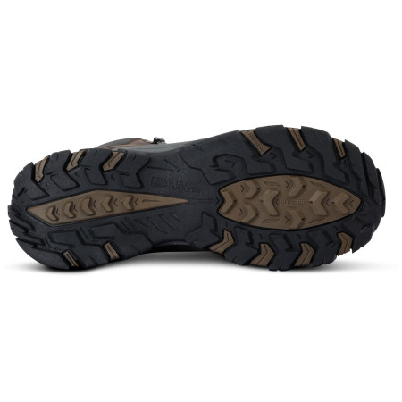 Pánské boty Regatta Holcombe Classic