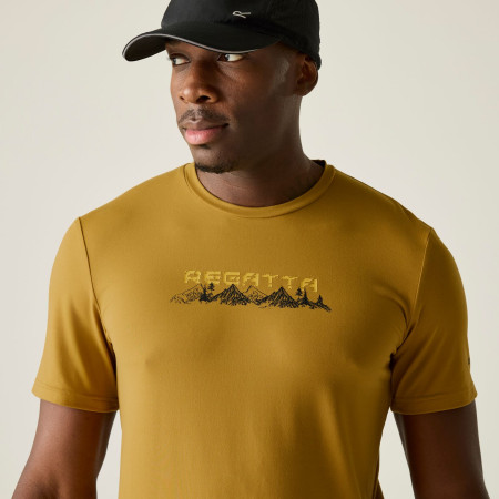 Pánské triko Regatta Fingal Stretch