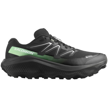 Pánské boty Salomon Ultra Flow 2 Gore-Tex