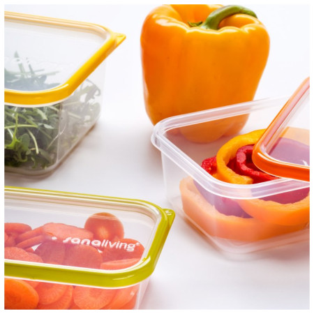 Box na potraviny Omada Sanaliving Box Set 3x 24x16,5x5cm/1L