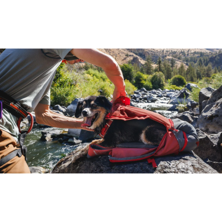 Batoh na psa Ruffwear Hitch Hiker™ Dog Backpack Carrier