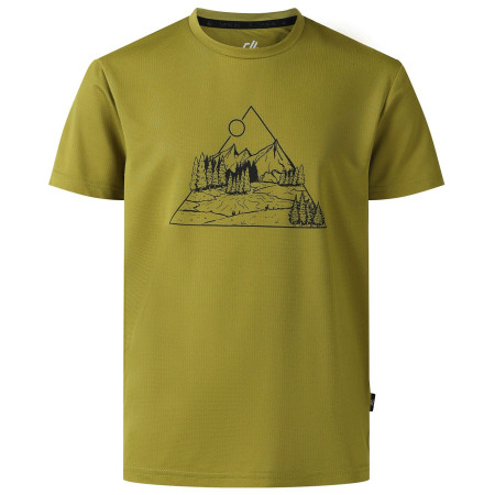 Dětské triko Dare 2b Amuse III Tee Goldn Cypress