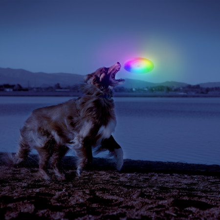Hračka pro psa Nite Ize Flashflight® Dog Discuit™ LED Flying Disc