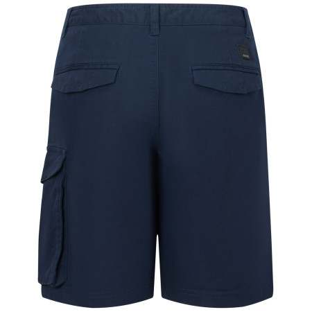 Pánské kraťasy Regatta Bendrick Shorts