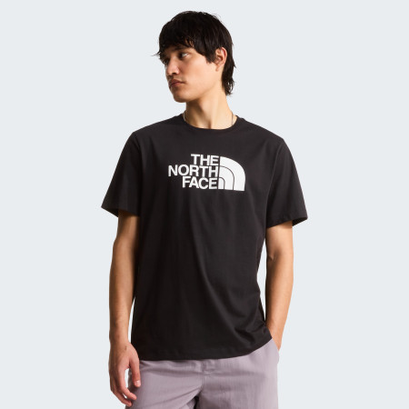 Pánské triko The North Face Evolution Half Dome Regular Short Slee