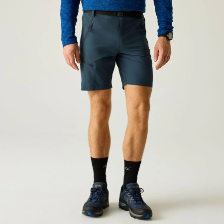 Pánské kraťasy Regatta Xert Stretch Shorts