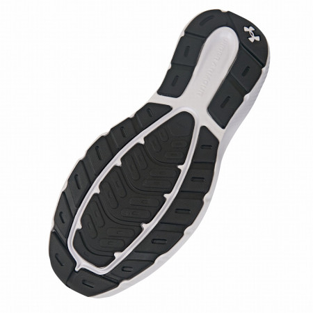 Pánské běžecké boty Under Armour Charged Rogue 5