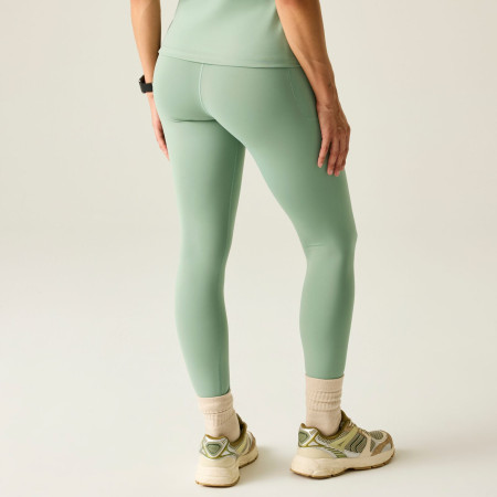 Dámské legíny Dare 2b Power Legging