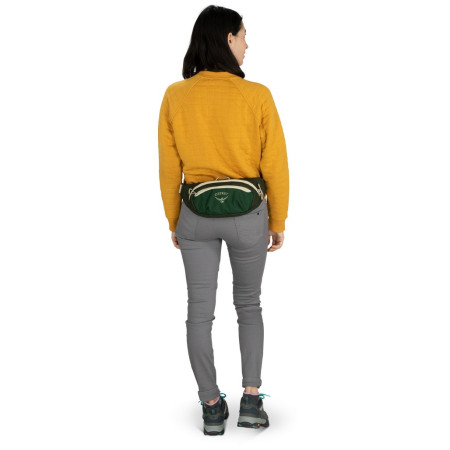 Ledvinka Osprey Daylite Waist Black