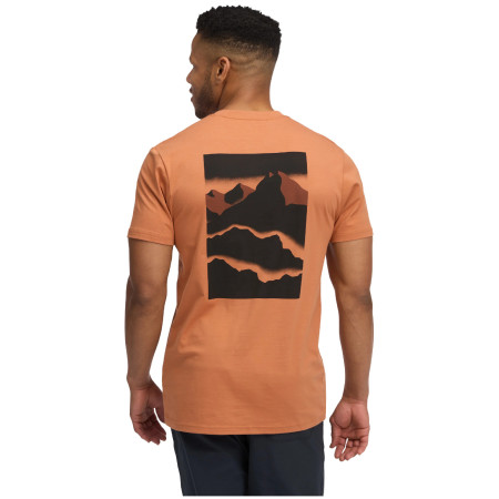Pánské triko Black Diamond M Mountainscape SS Tee