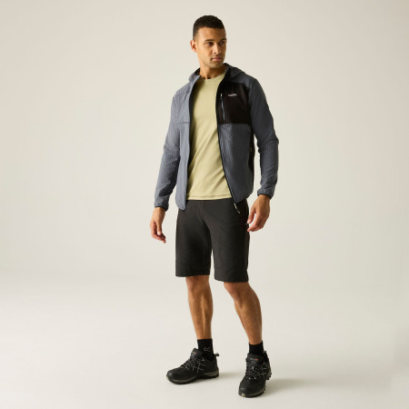 Pánská mikina Regatta Alven