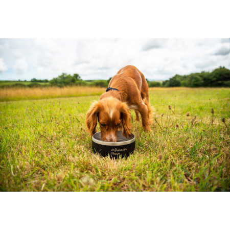 Miska pro psa Mountain Paws Basecamp Dog Bowl
