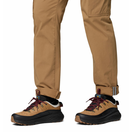 Pánské boty Columbia Terrastride Bc™