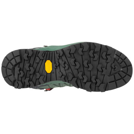 Dámské boty Salewa Ws Alp Trainer 2 Mid Gtx