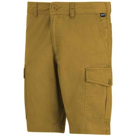 Pánské kraťasy Regatta Ruwan Shorts