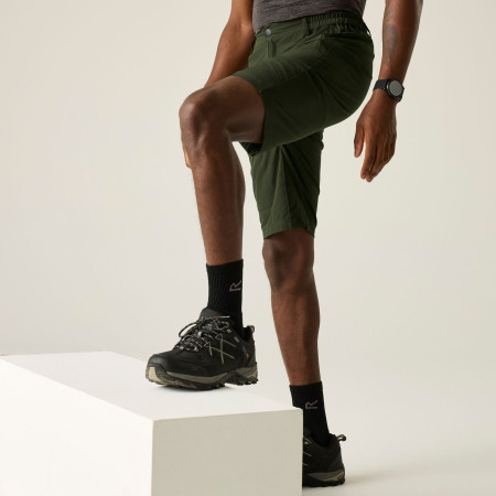 Pánské kraťasy Regatta Highton Shorts Long II